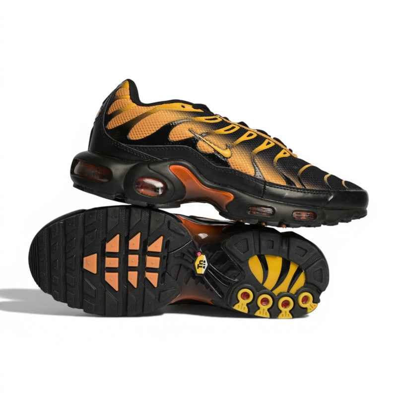 Nike Air Max Plus “Sundial”
