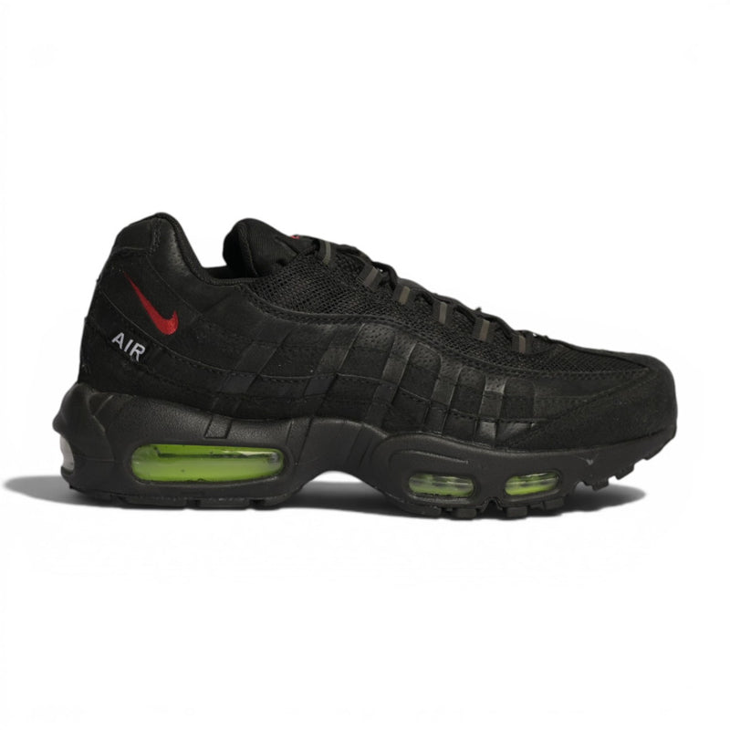 Nike Air Max 95 "LeBron"