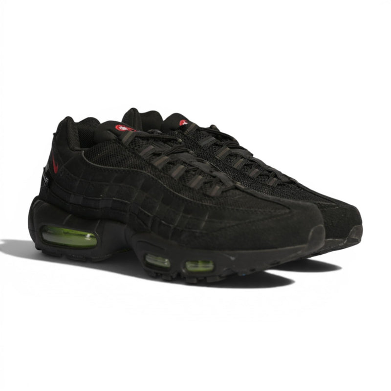 Nike Air Max 95 "LeBron"