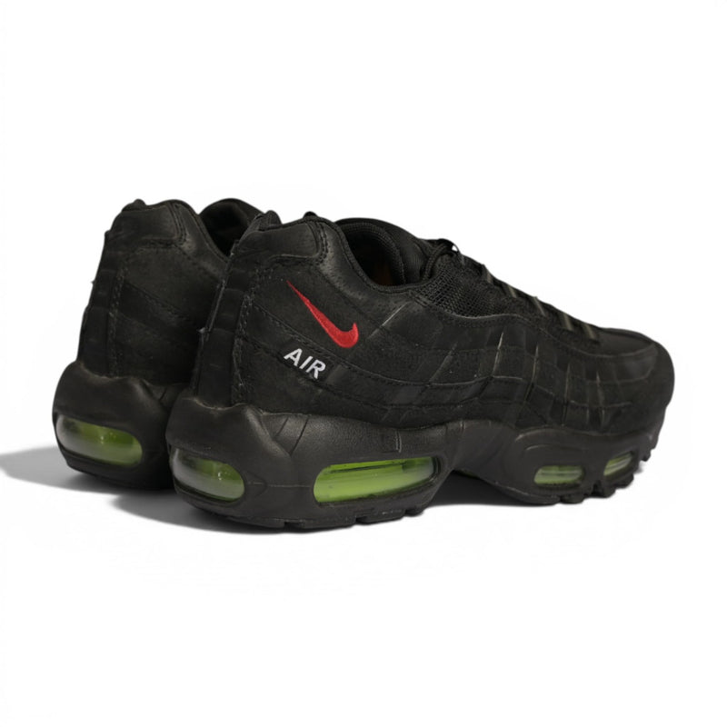 Nike Air Max 95 "LeBron"